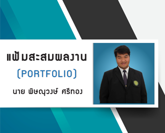 Portfolio-title